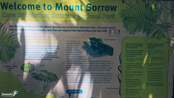 Mount Sorrow Ridge Trail Cape Tribulation Australia